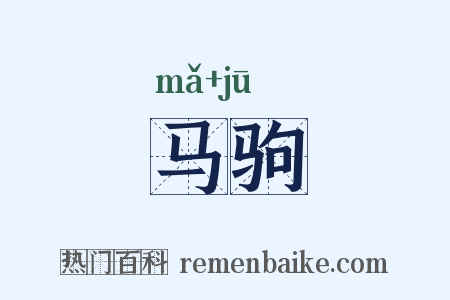 马驹是什么意思的图片